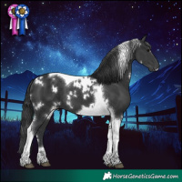 Horse Color:White Spotted Black Tobiano 
