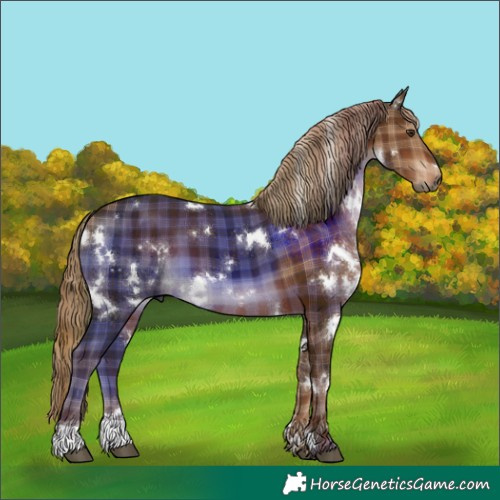 Horse Color:Plaid  White Spotted Liver Chestnut 