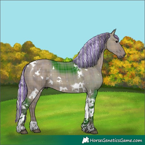 Horse Color:Painted Plaid  White Spotted Silver Grullo Tobiano 