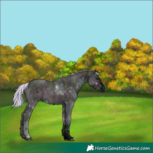 Horse Color:Void Watercolor Midnight Silver Brown Ice Dun 