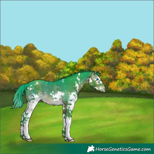 Horse Color:Watercolor White Spotted Brown Splash 