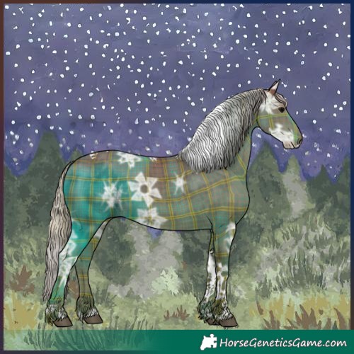 Horse Color:Plaid  Silver Black Ice Tobiano 