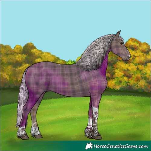 Horse Color:Plaid  Silver Black Sabino Tobiano 