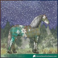 Horse Color:Plaid Silver Black Ice Tobiano