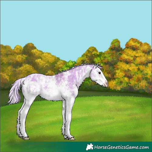 Horse Color:Watercolor Silver Classic Champagne Ice Onyx Sabino