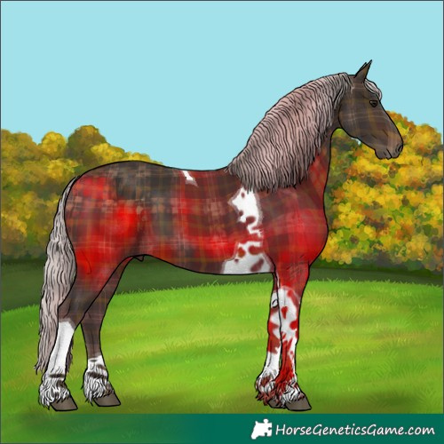 Horse Color:Plaid  Silver Brown Tobiano 