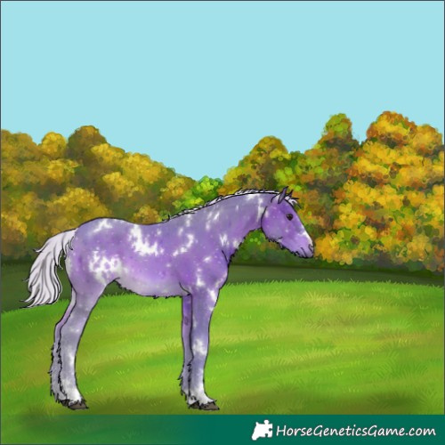 Horse Color:Watercolor White Spotted Silver Brown 
