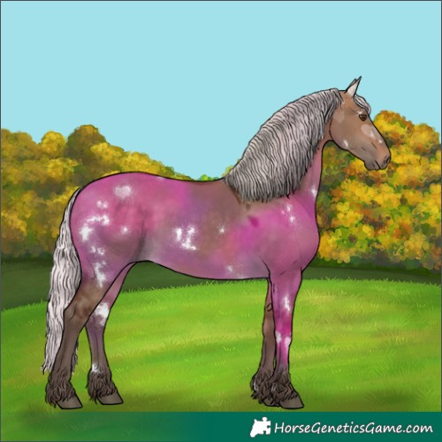 Horse Color:White Spotted Silver Bay Dun 
