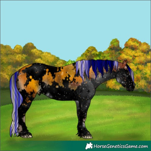 Horse Color:Void Painted White Spotted Silver Brown Splash Rabicano 