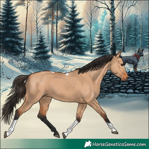 Horse Color:Bay Dun Tobiano 