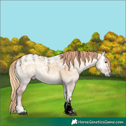 Horse Color:Powder White Void Red Dun Ice Onyx Rabicano 