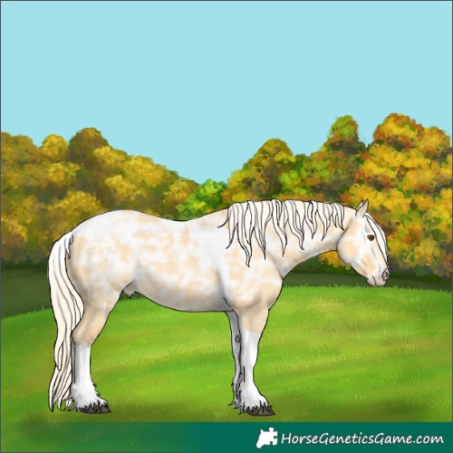 Horse Color:Powder White Palomino Ice Dun Tobiano Rabicano 