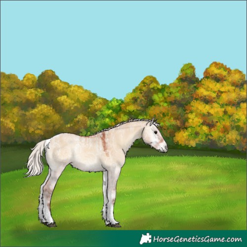 Horse Color:Powder White Silver Bay Ice Onyx Tobiano Rabicano 