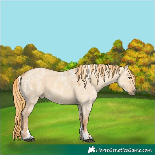 Horse Color:Powder White Red Dun Ice Rabicano 