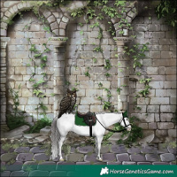 Horse Color:White Spotted Grullo Splash Near Leopard 