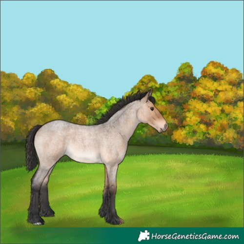 Horse Color:Brown Roan Dun 