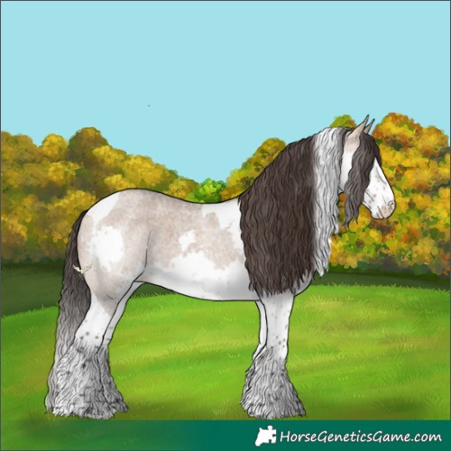 Horse Color:Bay Roan Dun Splash Tobiano 
