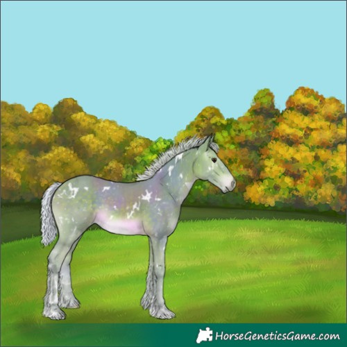 Horse Color:Watercolor White Spotted Silver Brown 