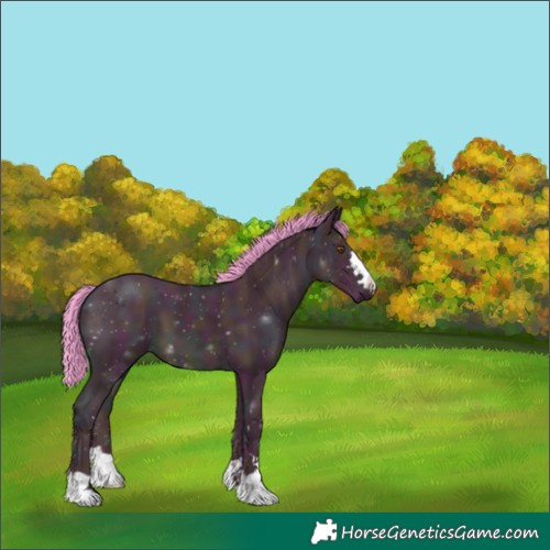 Horse Color:Watercolor Midnight Brown Dun 