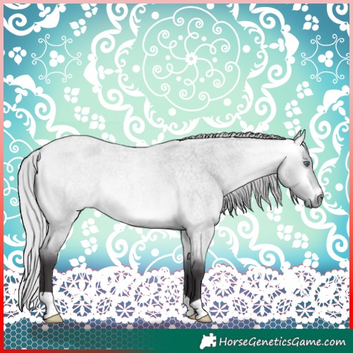 Horse Color:Silver Buckskin Chinchilla Roan 