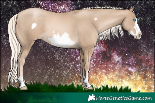 Horse Color:Chocolate Palomino Pearl Frame 