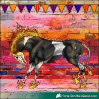 Horse Color:Black Tobiano 