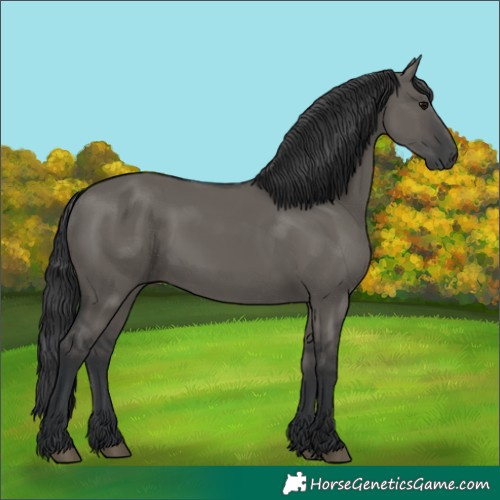 Horse Color:Grullo 