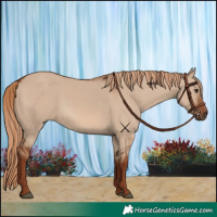Horse Color:Red Dun