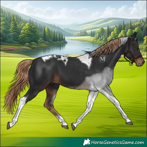 Horse Color:Liver Chestnut Tobiano 