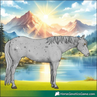 Horse Color:ERROR: UNKNOWN ANOMALY