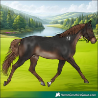 Horse Color:Liver Chestnut Rabicano 