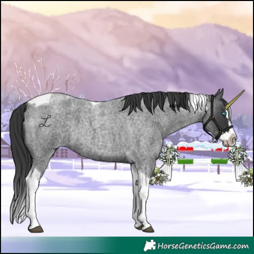 Horse Color:Blue Roan Splash Tobiano 