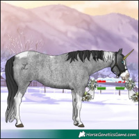 Horse Color:Blue Roan Splash Tobiano 