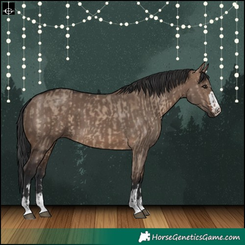 Horse Color:Brown Dun  and Brown Dun 