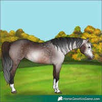 Horse Color:Gray Bay