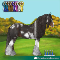 Horse Color:White Spotted Liver Chestnut Splash Tobiano Frame 