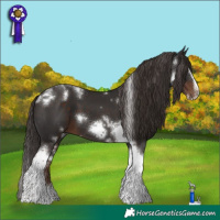 Horse Color:White Spotted Liver Chestnut Splash Tobiano Frame 