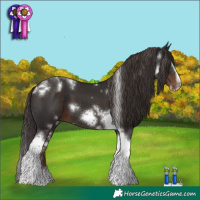 Horse Color:White Spotted Liver Chestnut Splash Tobiano Frame