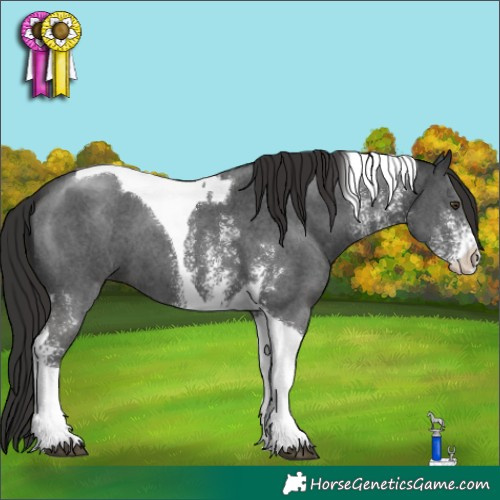 Horse Color:Liver Chestnut Sabino Tobiano 