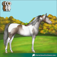 Horse Color:Gray Amber Champagne Tobiano Varnish Rabicano 
