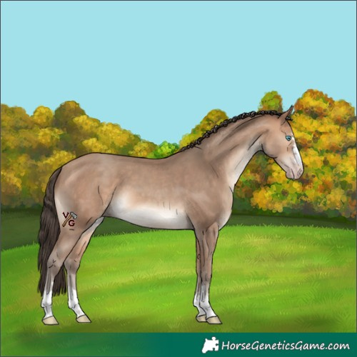 Horse Color:Amber Champagne 