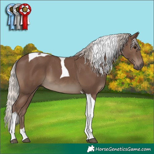 Horse Color:Silver Black Tobiano 