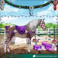 Horse Color:Silver Black Tobiano 