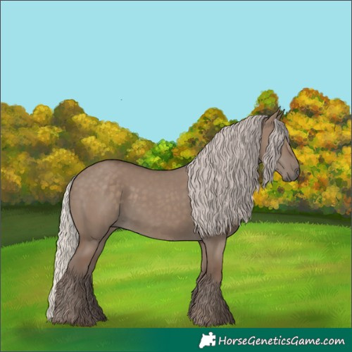 Horse Color:Silver Grullo 