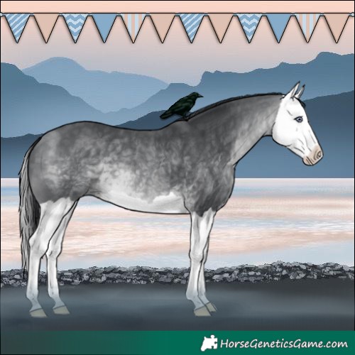 Horse Color:Brown Chinchilla Splash 