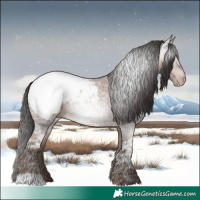Horse Color:Gray Sable Champagne Ice Roan Appaloosa 