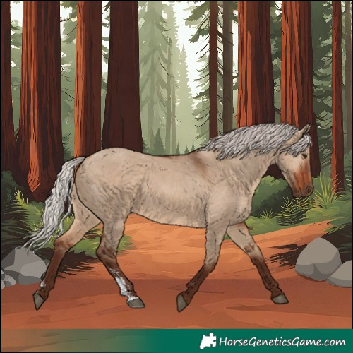 Horse Color:Silver Brown Dun Sabino 