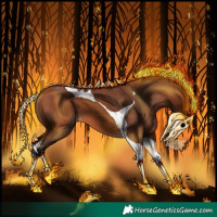 Horse Color:Bay Tobiano 