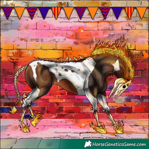 Horse Color:Bay Tobiano 