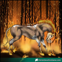 Horse Color:Classic Champagne Tobiano